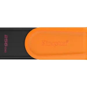 USB Flash 256 GB Kingston 3.2 Gen1 DTXS/256GB